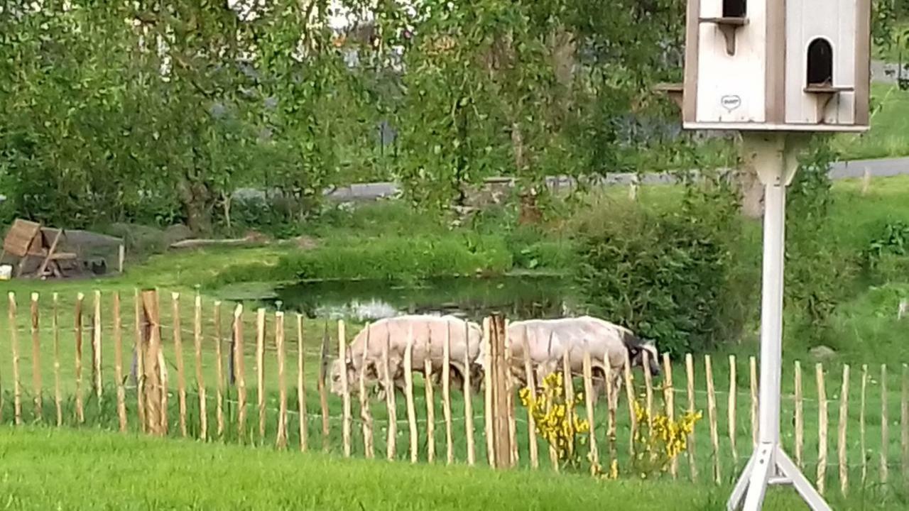 הוילה La Ferme De Bertogne מראה חיצוני תמונה